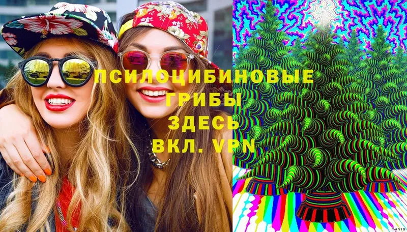 Галлюциногенные грибы Psilocybine cubensis  Анива 